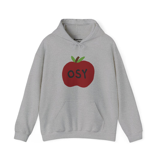 apple apology hoodie grey